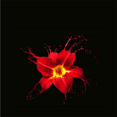 دانلود آهنگ یارمه دریا گرهته سیروس پیشقدم